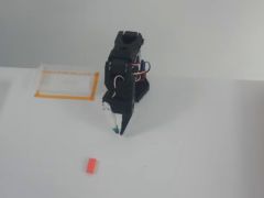 Camera up at the selected frame